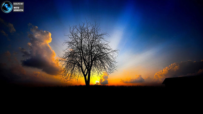 1320959133_sun_021 (700x393, 50Kb)