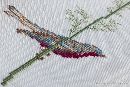 4826692__7_1_1_2_ (512x341, 60Kb)