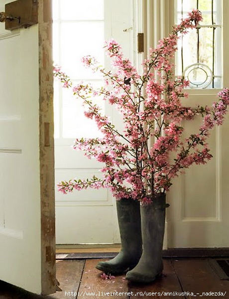 blooming-branches-in-home5 (460x600, 181Kb)