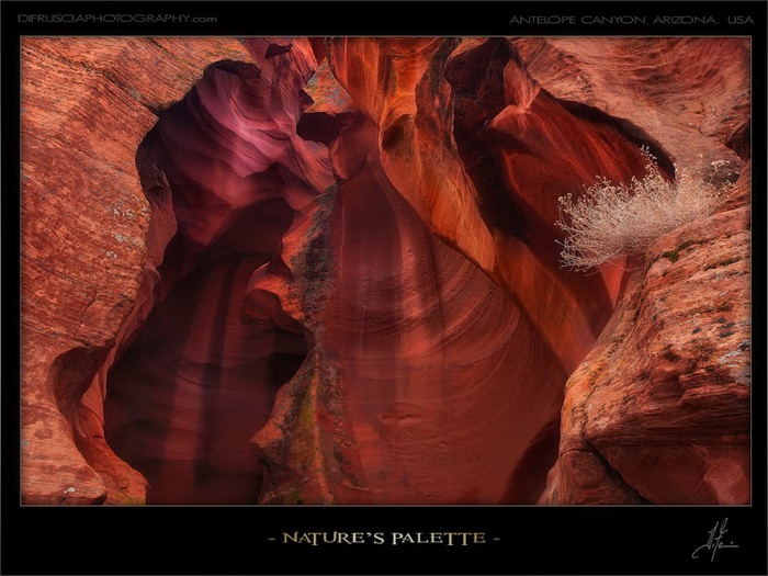 Natures-Palette (700x525, 126Kb)