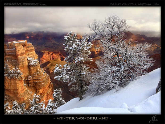 Winter-Wonderland (700x525, 156Kb)