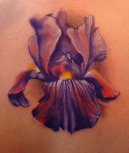image018 (253x300, 14Kb)