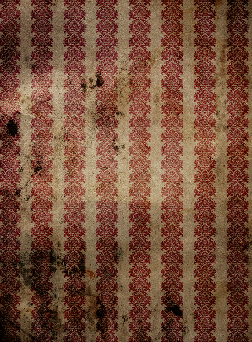 vintagewallpaper3 (515x700, 687Kb)