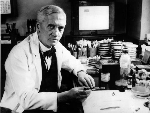 Alexander_Fleming (512x385, 31Kb)