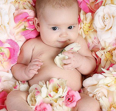 a65d94de1d97 (455x436, 108Kb)