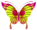  Butterfly02 (4) (671x542, 287Kb)