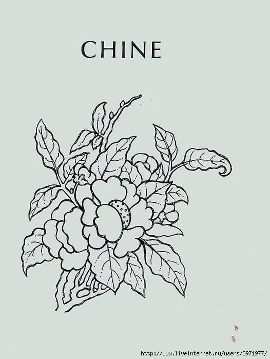 4000 motifs de fleurs et de plantes (77) (526x700, 135Kb)