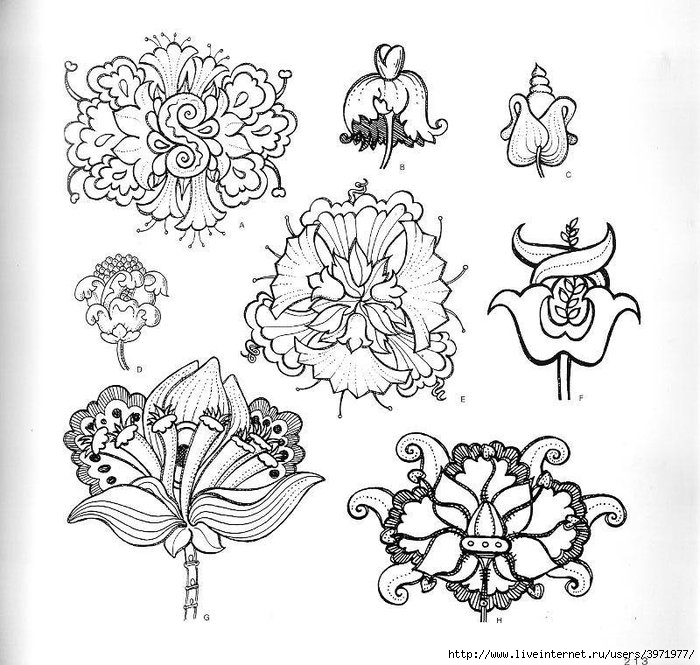4000 motifs de fleurs et de plantes (201) (700x665, 269Kb)
