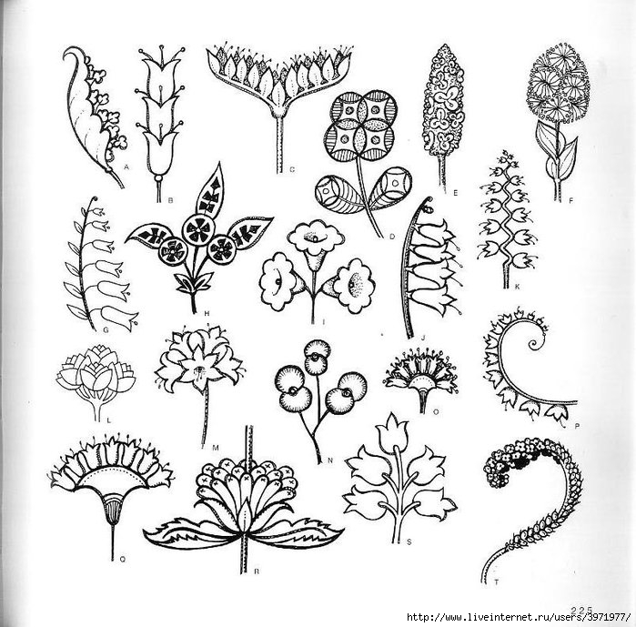 4000 motifs de fleurs et de plantes (213) (700x689, 258Kb)