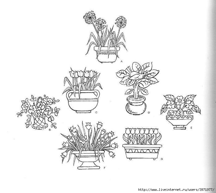 4000 motifs de fleurs et de plantes (354) (700x625, 152Kb)