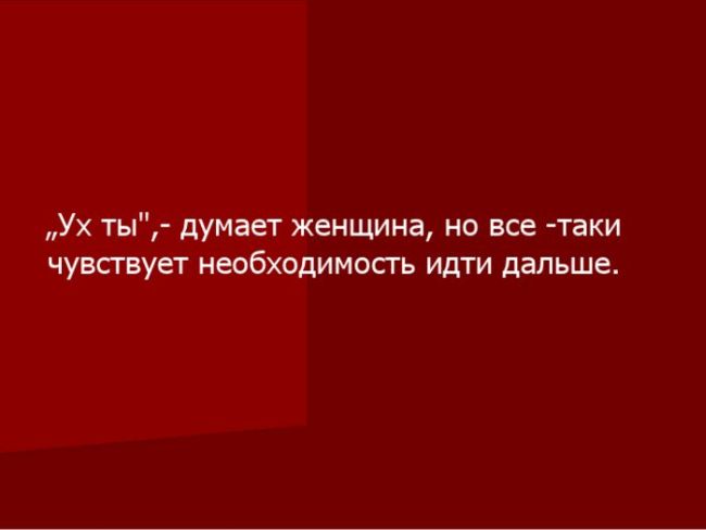 1328164489_shop_07 (650x488, 15Kb)