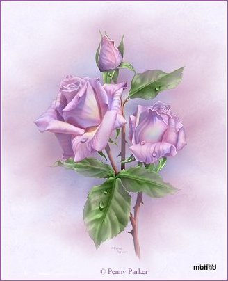 Rosas lilas (328x404, 30Kb)