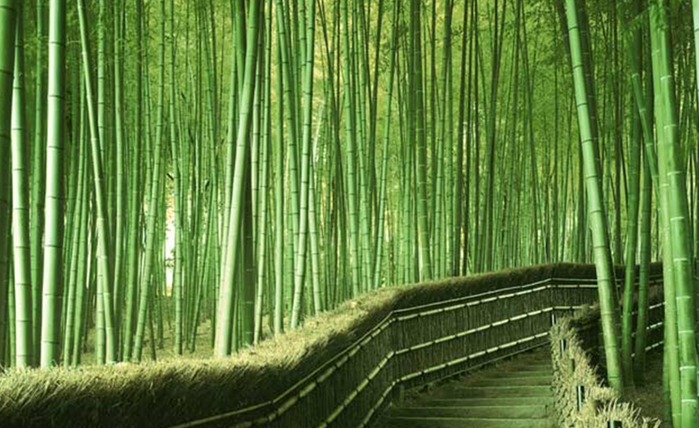 Пол из бамбука: 10 крутых вариантов для дома