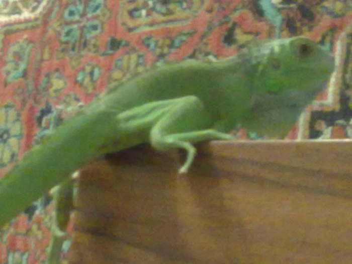 02052012507 (700x525, 326Kb)