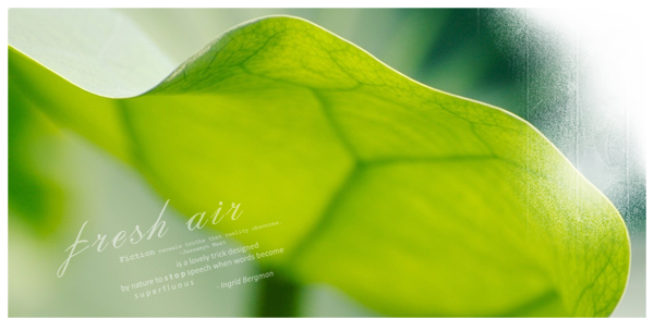 4220875_99 (600x304, 250Kb)