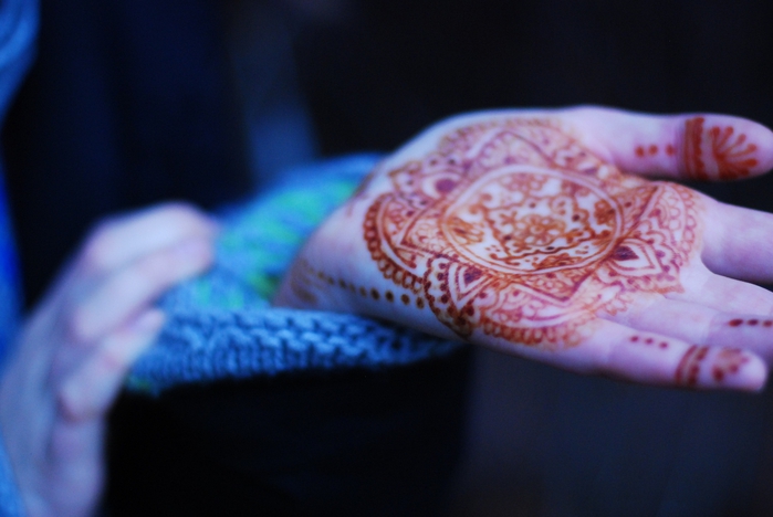 DSC_0484 (700x468, 179Kb)