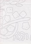 ������ Scan10080 (362x512, 30Kb)