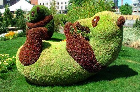 20-4_panda_iz_zhivyh_rastenij (446x296, 57Kb)