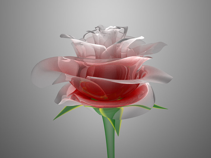rose~0 (700x525, 56Kb)