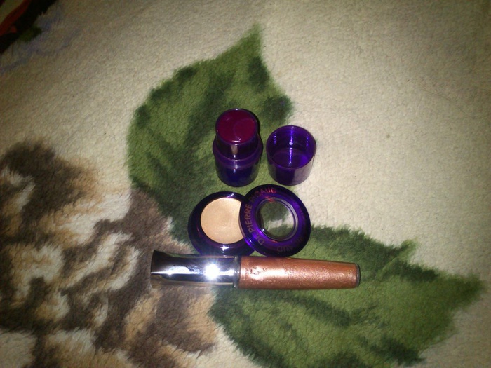 DSC_0867 (700x525, 110Kb)