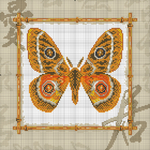      Butterflies 024 (700x700, 494Kb)