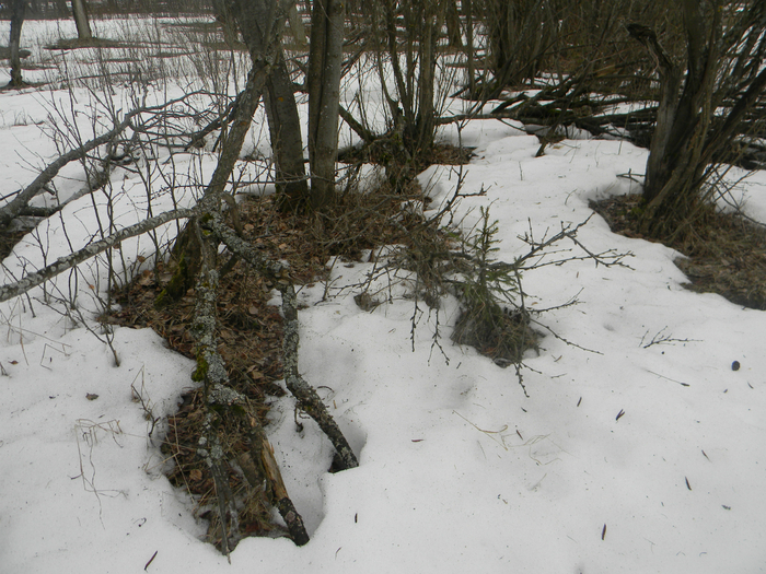 ��������� (700x525, 503Kb)