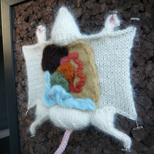 knitted-dissection6 (500x500, 86Kb)