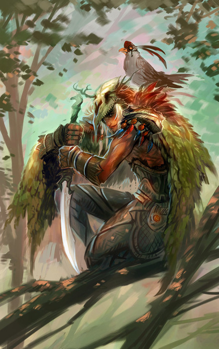 1336480291_pathfinder1_by_breathing2004d47juok (439x700, 126Kb)