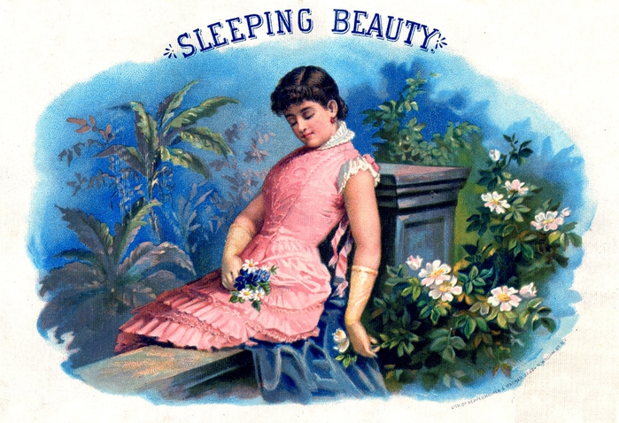 sleeping beauty vintage image gfairy2 (700x478, 315Kb)