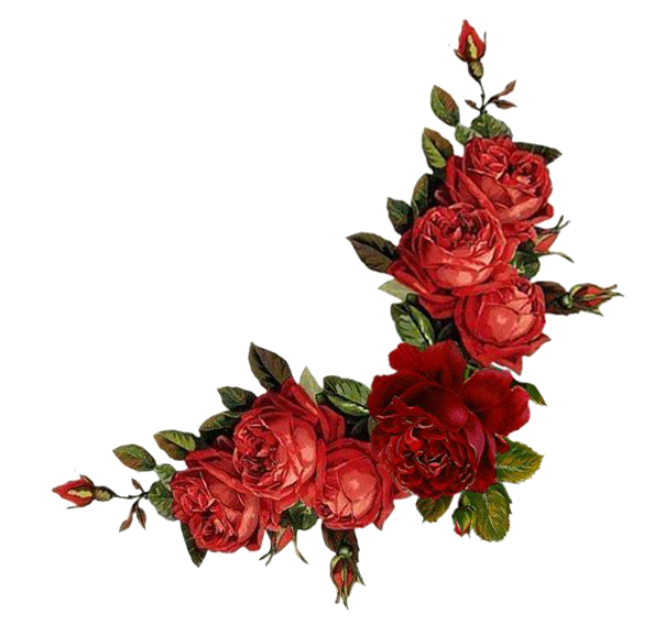 1a94fa1da766 (594x568, 273Kb)
