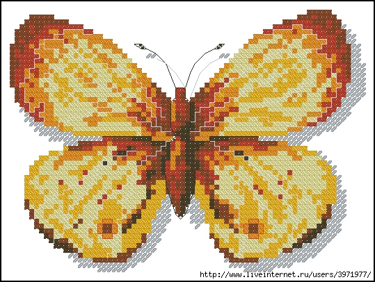 3971977_Butterflies_139 (539x406, 251Kb)