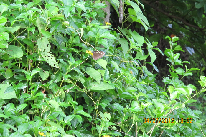 IMG_5449 (700x467, 549Kb)