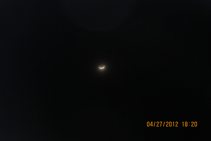 IMG_5479 (700x467, 180Kb)