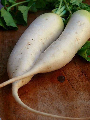 daikon3 (375x500, 37Kb)