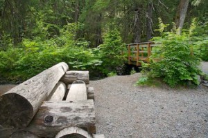 forest-trail-bench_10268-300x200 (300x200, 26Kb)