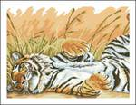  CHM-05-06-2007-Tigr.Siesta (480x372, 31Kb)