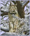  DMC_K5256_Siberian Lynx (398x475, 45Kb)