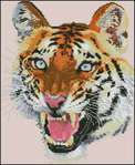 Превью Tiger Portrait 4 (295x360, 21Kb)