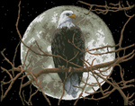  Eagle in Moonlight (594x468, 255Kb)