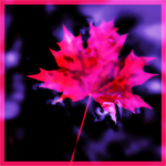 0122_by_karil (150x150, 33Kb)
