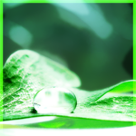 748a2f45f9ef21f5772a389b627 (150x150, 38Kb)