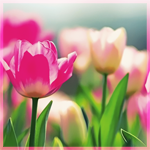f8831c8df1f1dda (150x150, 41Kb)