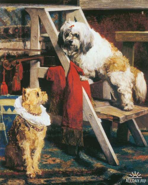 1296477422_1889-brussells-griffon-lhaso-apso (500x625, 52Kb)