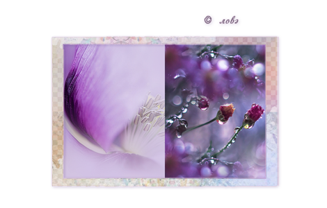 1336688670_Preview_spring (470x300, 136Kb)