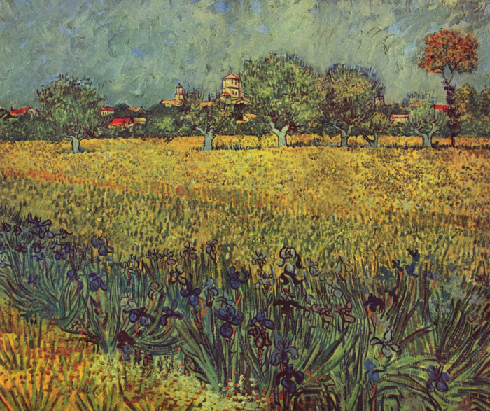 Vincent-Willem-van-Gogh-009 (700x587, 667Kb)