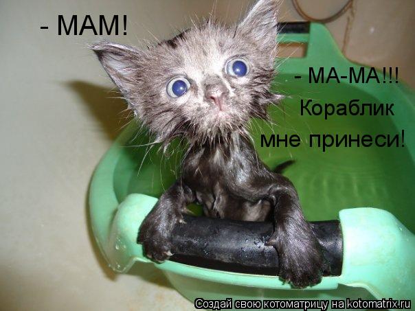 Котоматрица. Мама, кораблик принеси (604x453, 46Kb)