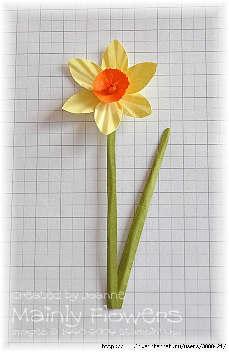 Daffodil 20 (454x700, 160Kb)