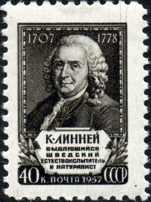 Stamp_of_USSR_2115 (523x700, 203Kb)