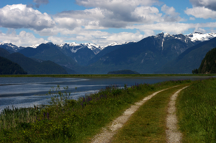 pitt lake (10) (700x463, 222Kb)