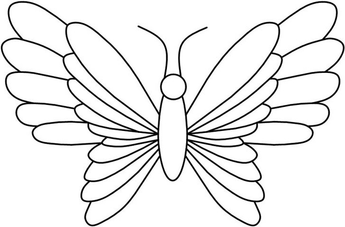 4butterfly22 (700x461, 56Kb)